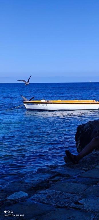 Elisir - Apartment Trapani Dış mekan fotoğraf