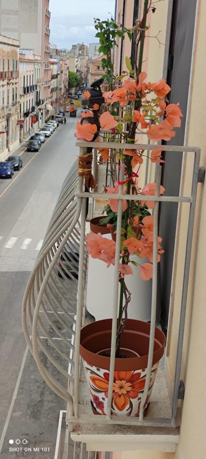 Elisir - Apartment Trapani Dış mekan fotoğraf